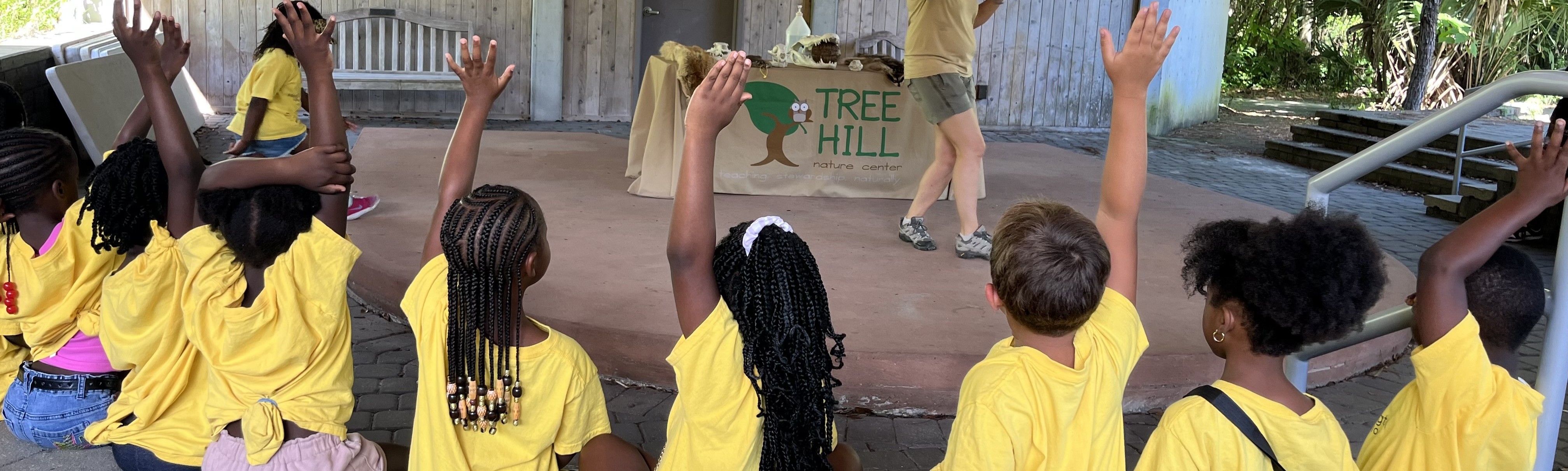 Tree Hill Summer