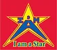 I'm a Star logo